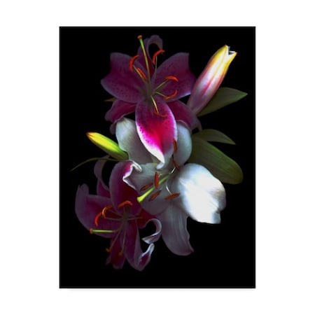 Susan S. Barmon 'Lilies' Canvas Art,18x24